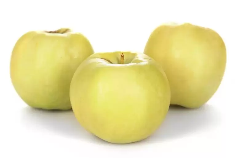 jablká na liečbu kŕčových žíl