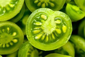 liečba kŕčových žíl zelené paradajky